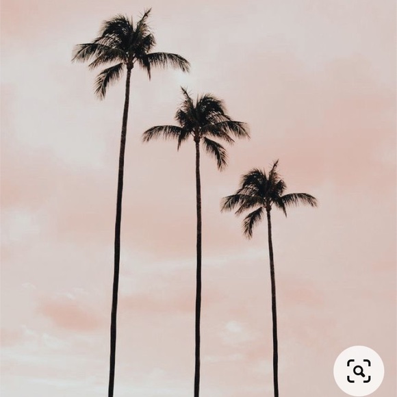 Meet your Posher, Lora - Picture 1 of 1